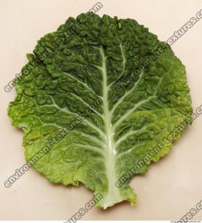Photo Texture of Leaf Cabbage 0001